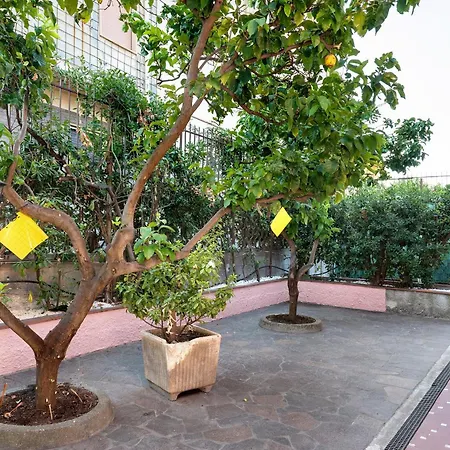 Πανσιόν Arenella Bordighera