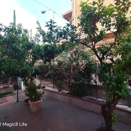 Arenella Bordighera
