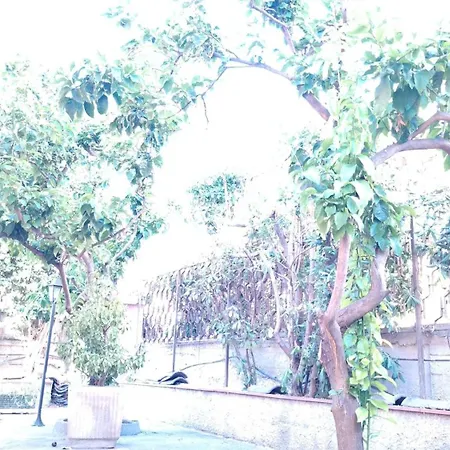 Arenella 3* Bordighera