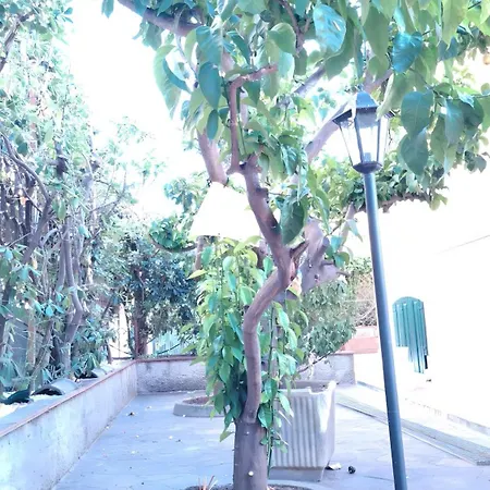 Arenella 3* Bordighera